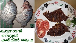 കുട്ടനാടൻ സ്റ്റൈൽ കരിമീൻ ഫ്രൈ/karimeen fry/nadan recipe/esay and tasty