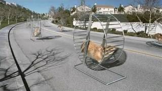 First Kia Hamster Commercial (Soul) - 2010