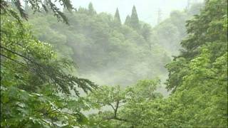 雨の黒部峡谷