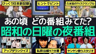 昭和の日曜日夜番組！夢中になった1980年代の人気番組を全解剖