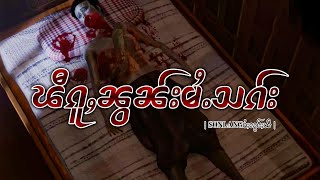 ၽီၵူႇၼွၼ်းမႆႉသၵ်းEP66|ပိၼ်ႇသွၼ်လႅင်း