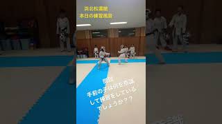 【組手】本日の練習