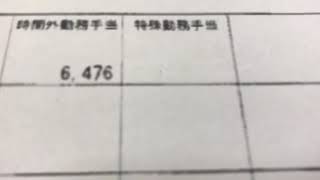 給与明細 臨床心理士の噂通り本当に低い給料