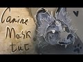 Canine therian mask tutorial (250 subs special) / #therian #quadrobics #theriangear