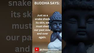 Buddha Quotes |inspirational quotes |motivational quotes #buddha