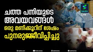 ചത്ത് ഒരു മണിക്കൂറിന് ശേഷം പന്നിയുടെ അവയവങ്ങള്‍ ഭാഗീകമായി പുനരുജ്ജീവിപ്പിച്ചെന്ന് യുഎസ് ഗവേഷകര്‍