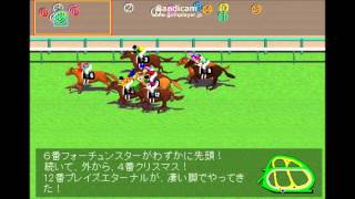 サンライズステークス 競馬レース展開予想 2016年 「競馬レース結果ハイライト」