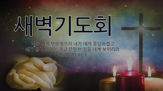 2020.10.28  포도원교회 실시간 새벽기도회