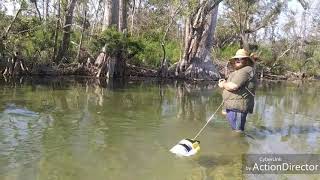 Wading Spring Creek in Marianna, Fl