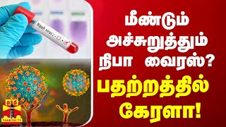 மீண்டும் அச்சுறுத்தும் நிபா வைரஸ்? பதற்றத்தில் கேரளா! | Nipah Virus | Kerala