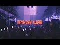 BON JOVI - It's My Life - ALEKS & LUCASMILE (AfroHouse Version)