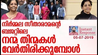 നല്ലത് ഒരുപാടുണ്ട്... നിരാശപ്പെടുത്തുന്നതും l about budget2019   InstantResponse