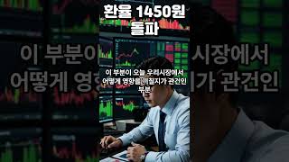 환율 1450월 돌파 '비상' #엔비디아 #삼성전자 #테슬라 #비트코인