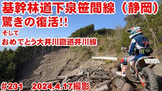 【2024全線映像】基幹林道下泉笹間線が脅威の復活！！【がんばれ大井川鐡道】