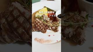 福岡県筑紫野市　ログハウスレストラン　アラスカでランチ #shorts