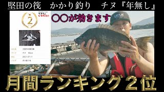 【かかり釣り】チヌやタイには◯◯が効きます！！