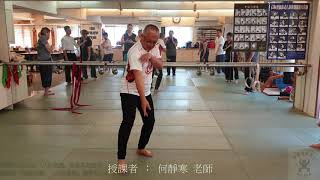 【八卦盤龍】【20190713(05)】劈與掛的動作解說