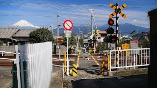 JR 東海道本線【No.90】増田踏切・通過・走行映像・富士山　静岡県富士市