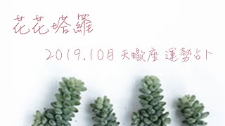 花花塔羅♏️天蠍座2019年10月運勢 愛情/事業/生活