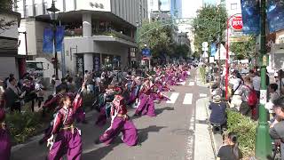 【4K】千葉工業大学よさこいソーラン風神部｜奏向（第九回 横浜よさこい祭り/馬車道通りパレード②会場）