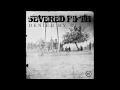 severed fifth the lake