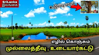 அழகிய முல்லைத்தீவு உடையார்கட்டு பிரதேசம் 😍 | Mullaithivu District