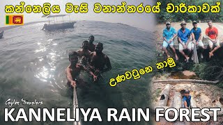 Kanneliya Rain Forest \u0026 Unawatuna Beach | කන්නෙලිය තෙත් බිම් වනාන්තරය | Ceylon Travelers