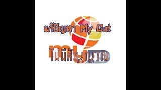 วิธีแก้ปัญหา My Cat ไม่มีสัญญาณ,No Service,เน็ตช้า,เน็ตหลุดบ่อย