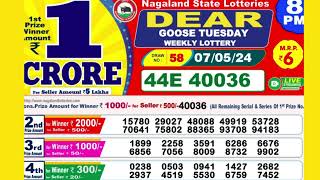 DEAR GOOSE TUESDAY WEEKLY LOTTERY TODAY RESULT 8 PM 07/05/24#latest lottery result