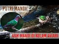 Putri Mandi, Asik Mandi di Kolam Aviary