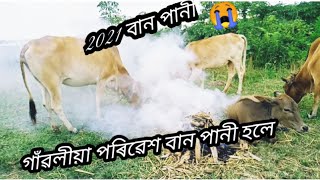 বান পানী 2021 || Brahmaputra River || আমাৰ গাঁৱলীয়া পৰিৱেশ বান পানী হলে || All Assam Mising