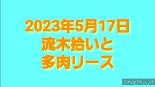 2023年5月17日流木拾いと多肉リース