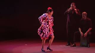 Manuela Carrasco en Flamenco on Fire