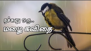 நச்சுனு ஒரு மழை கவிதை|mazhai kavithaigal in tamil|kavithai about rain|rain kavithai|mazhai kavithai