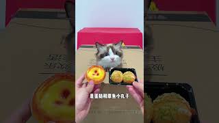 这捏捏乐也太搞笑了吧！ 实行万物可爱计划 #捏捏乐 #幽默 #搞笑 #cat #奇葩玩具 #可爱 #杯子 #猫咪 #玩具#shorts