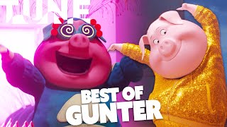 Best of Gunter | Sing & Sing 2 | TUNE