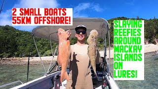 Mackay Island Trip with the boys: Reef Fish Edition Trout and Fingermark