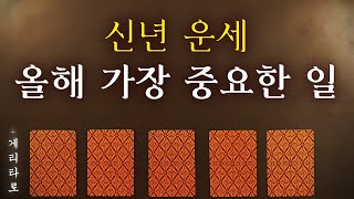 [타로카드] 올해 가장 중요한 일