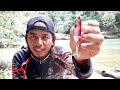 umpan paling ampuh.. untuk casting ikan hampala dan mahseer