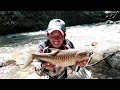 umpan paling ampuh.. untuk casting ikan hampala dan mahseer