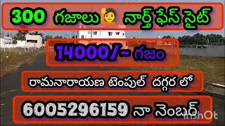 300 గజాలు లో రెండు ఫ్యామిలీలు చక్కగా ఇండివిజుల హౌస్ కట్టుకోవచ్చు🏗️14000/- గజం# 6005296159 నా నెంబర్🤙