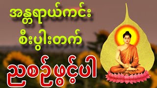 အန္တရာယ်ကင်း စီးပွားတက် ညစဉ်ဖွင့်