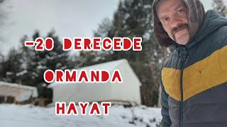 Kanada Orman Hayatim; -20 Derecede Ormanda Gunluk Hayat