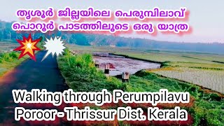 തൃശൂർ ജില്ലയിലെ പെരുമ്പിലാവ് പൊറൂർ പാടത്തിലൂടെ // Perumpilavu Poroor Thrissur District - Kerala