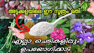 Try this in your plants!! എല്ലാ ചെടികളിലും ഒരു പോലെ ഉപയോഗിക്കാം