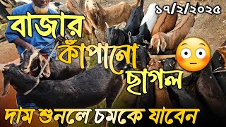 বাজার কাপানো!ছাগল দাম শুনলে চমকে যাবেন😳 ?@AgroknowledgeBD #ছাগলের_হাট