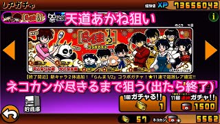 【にゃんこ大戦争】らんま1/2コラボガチャで天道あかねが出るまで確定付き11連を回す