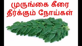 முருங்கை கீரை தீர்க்கும் நோய்கள் | Murunga keerai payangal