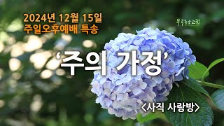 사직사랑방 특송 (2024-12-15)