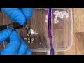 iphone 6 6S water damage repair